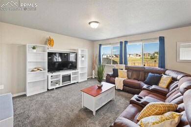 7831 Berwyn Loop, Peyton, CO 80831 - photo 3