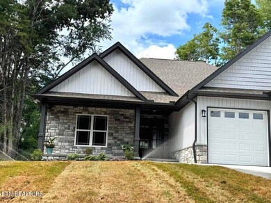 311 Cheeyo Ln, Loudon, TN 37774 - photo 3