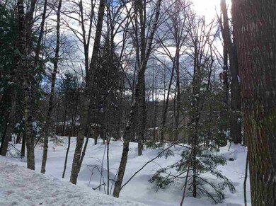 0 Jericho unit 4675486, Bartlett, NH 03812 - photo 4