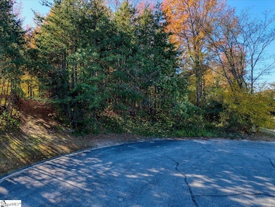 7 Grenoble Ct, Greenville, SC 29609 - photo 3