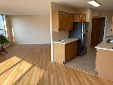 Kenwood Isles unit 409, Minneapolis, MN 55408 - photo 6