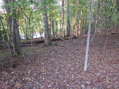 Lot 227 Lake Front 3