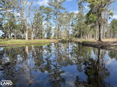 3009 Horse Stamp Church Rd, Waverly, GA 31565 - photo 3