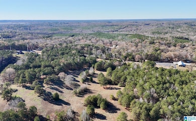 10000 Eastern Valley Rd, Woodstock, AL 35188 - photo 5