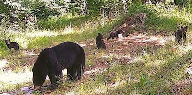 0 Junaluska Dr unit 1299475, Jamestown, TN 38556 - photo 3