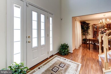 8614 Hillview Rd, Hyattsville, MD 20785 - photo 6