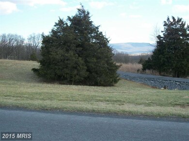 0 Cave Ridge Rd unit 1002898426, Mount Jackson, VA 22842 - photo 4