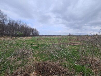 0 16th Ave unit 1553004, Sumner Township, WI 54868 - photo 4