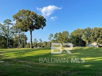 unlisted-address, Loxley, AL 36551 - photo 2