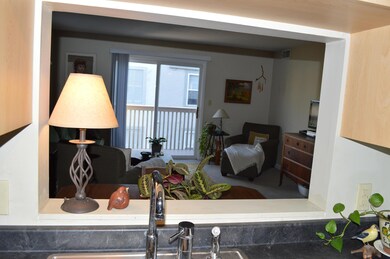 View from the kitchen