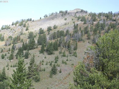 0 unit 24358834, Sumpter, OR 97877 - photo 5