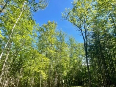 00 Under the Mountain Rd, Lyman, NH 03585 - photo 7