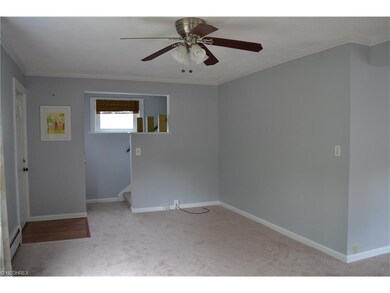 Spacious Living Room, fresh carpet and entry floor
