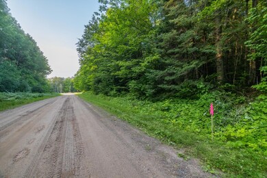 LOTS 6/7 Tower Rd, Crandon, WI 54520 - photo 6