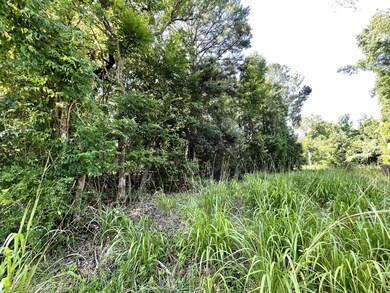 Right side of property