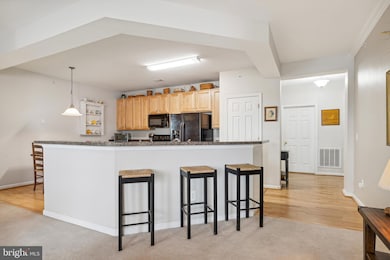 900 Marshy Cove, Cambridge, MD 21613 - photo 7