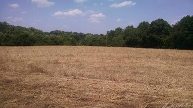 000 Bussell Rd, Statesville, NC 28625 - photo 7