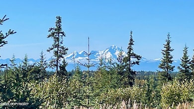 68062 Jolly Ave, Anchor Point, AK 99556 - photo 2