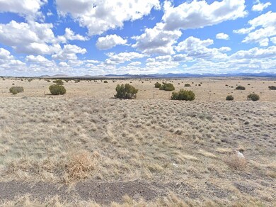 County Road 3538 unit Concho AZ 85924, Concho, AZ 85924 - photo 4