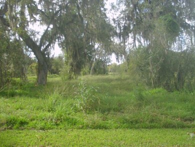 0 Cr 461a, Brazoria, TX 77422 - photo 4