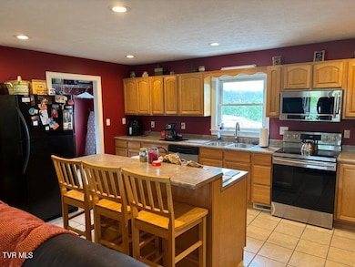 114 Robertson Creek Rd, Bulls Gap, TN 37711 - photo 6