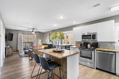 14 Woodpecker Ln unit 4, Branson, MO 65616 - photo 3