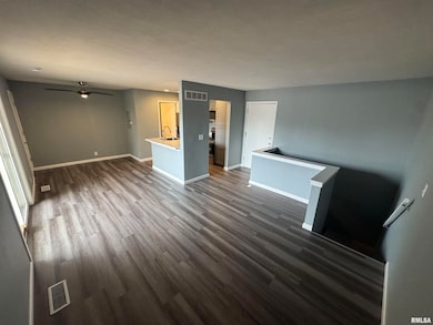 3119 W Willow Knolls Dr unit 25B, Peoria, IL 61614 - photo 4