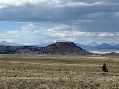 311 Harness Way, Hartsel, CO 80449 - photo 5