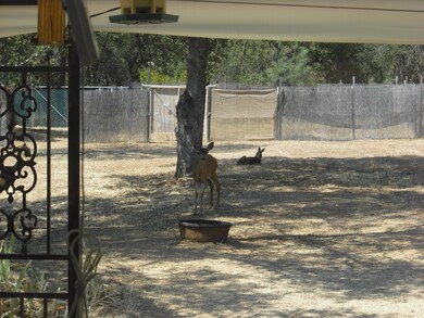 13629 Jaybird Way, Redding, CA 96003 - photo 4