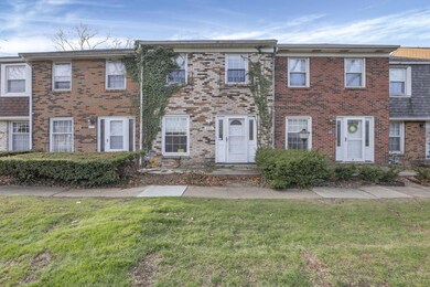 3-web-or-mls-939A5755