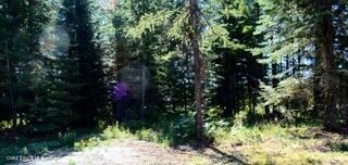 L2 B4 S Kula Rd, Harrison, ID 83833 - photo 6