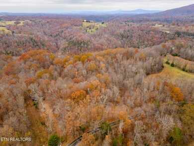 mls-DJI_0107-HDR