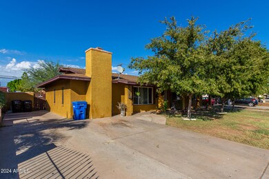 03 - Ocotillo