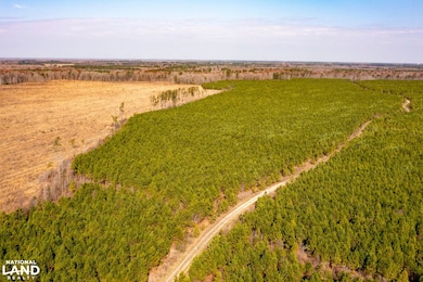 0 Mapleton Rd, Murfreesboro, NC 27855 - photo 5