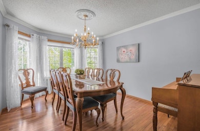 9967 Egret Blvd NW, Coon Rapids, MN 55433 - photo 3