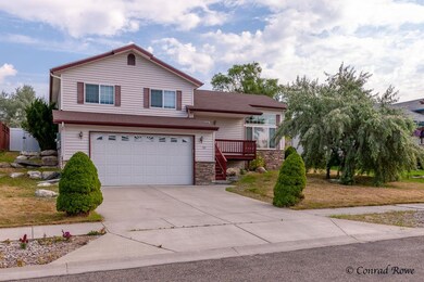 312Butcup-1804