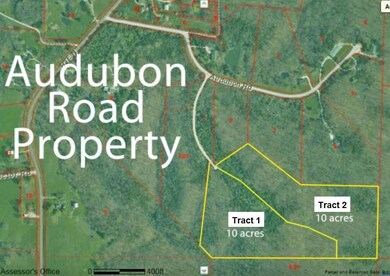 Audubon Property Aerial