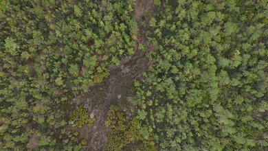 0 Deep Creek Rd, Wiggins, MS 39577 - photo 6