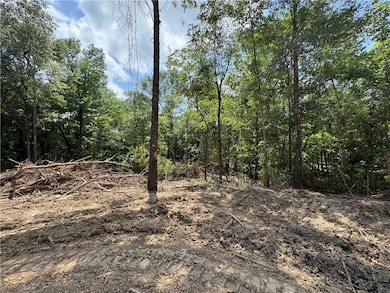 0 Tbd Libuse Cutoff Rd, Pineville, LA 71360 - photo 7