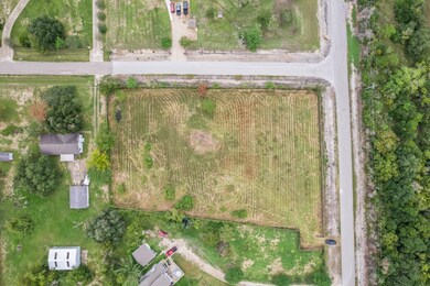 5595 County Road 155, Algoa, TX 77511 - photo 2