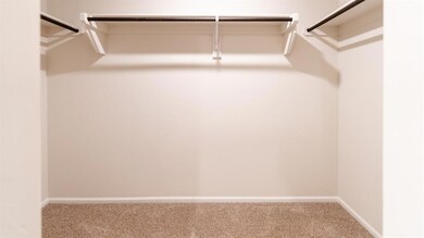 Walk in closet with carpet