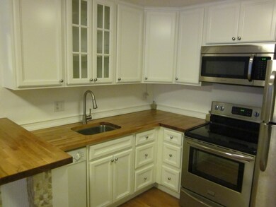 145 Warren St unit 7, Watertown, MA 02472 - photo 5