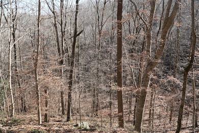 0 Alabama 187, Hodges, AL 35571 - photo 7