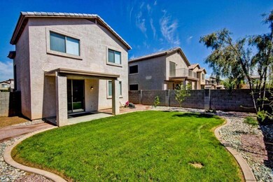 backyard 2