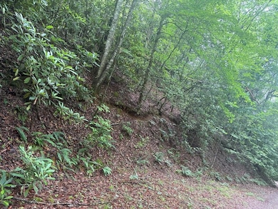 0 Willow Pond Rd unit 26041420, Franklin, NC 28734 - photo 2