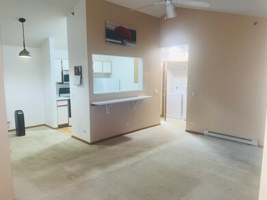 320 Cunat Blvd unit 3A, Richmond, IL 60071 - photo 4