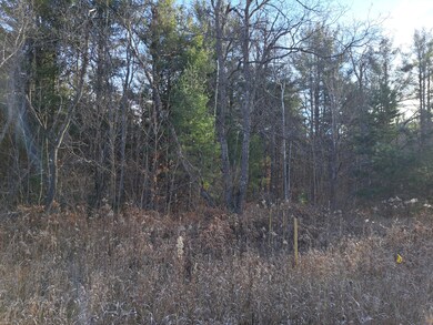 V/L Devolder Rd, Star Township, MI 49730 - photo 6