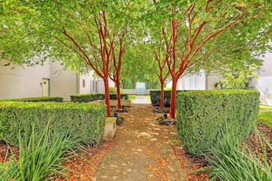 A lush, shaded and beautifully manicured courtyard
