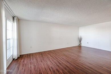 10509 W Palmeras Dr, Sun City, AZ 85373 - photo 5