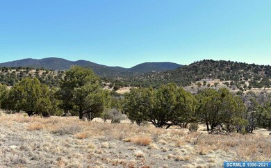 5207 Little Walnut Rd, Silver City, NM 88061 - photo 5